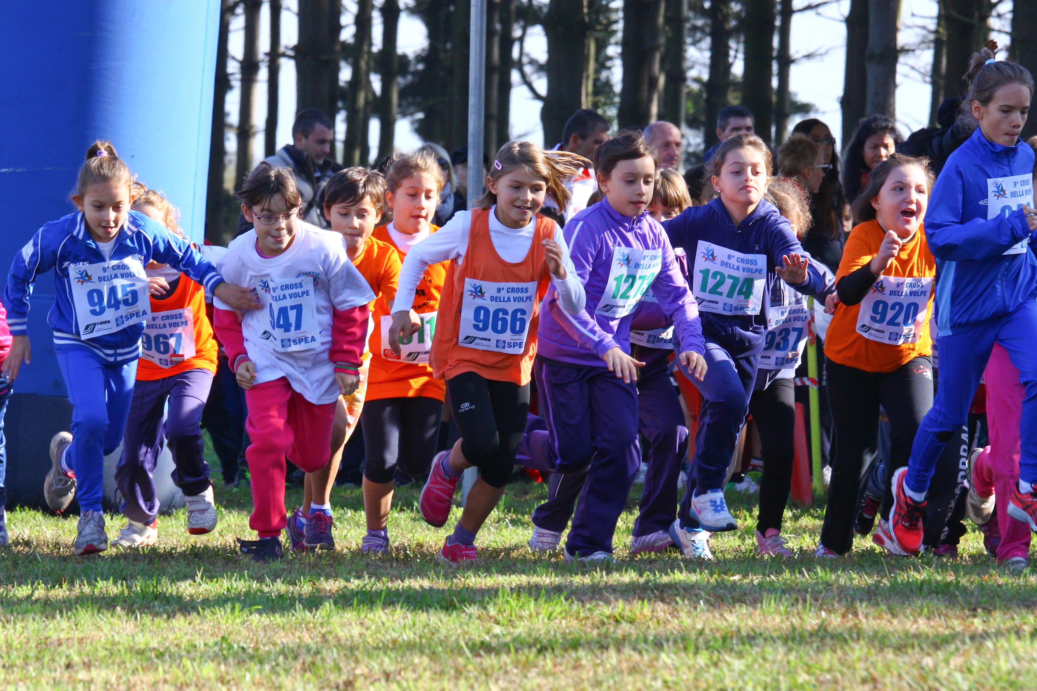 Cross della Volpe 2013