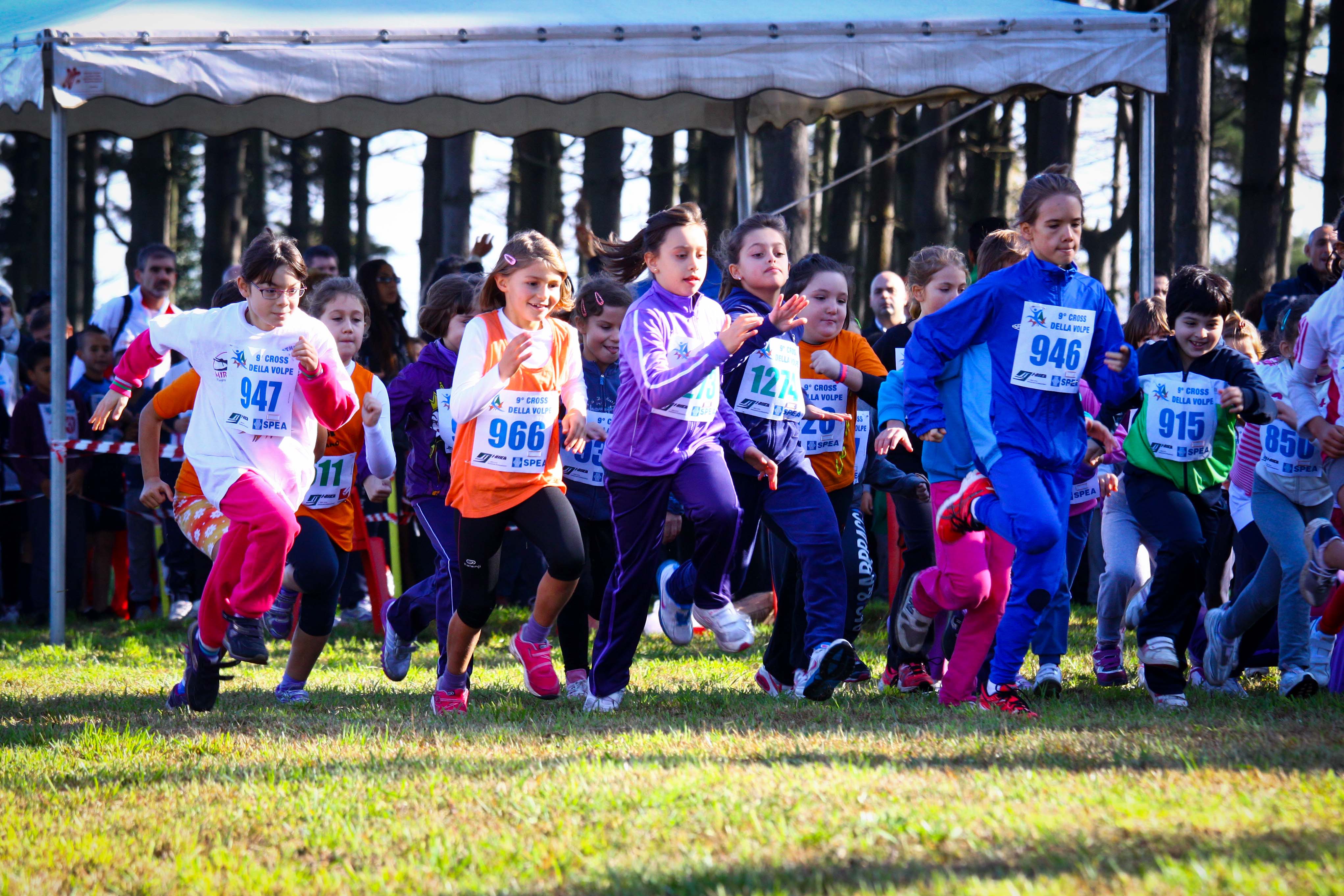 Cross della Volpe 2013