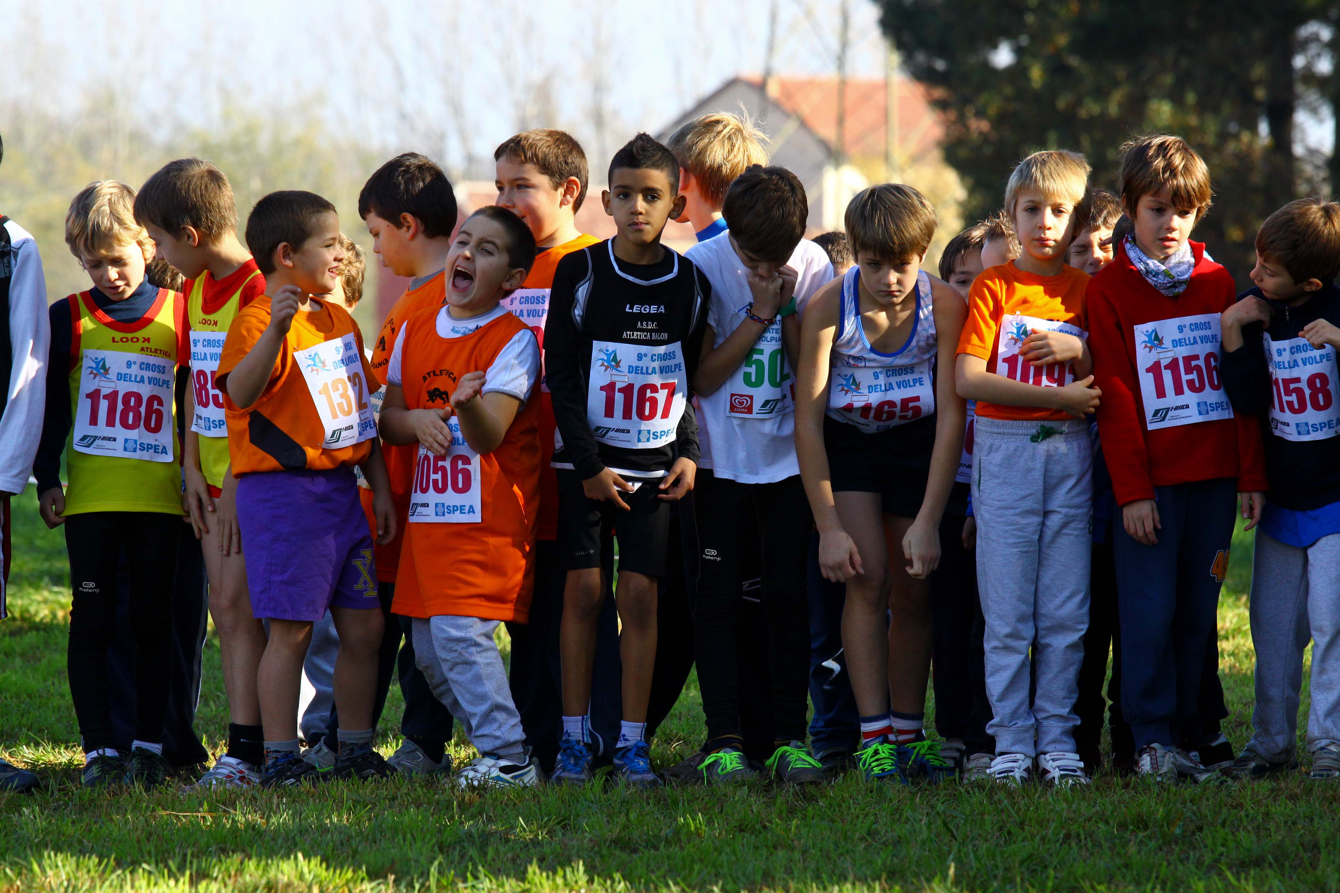 Cross della Volpe 2013