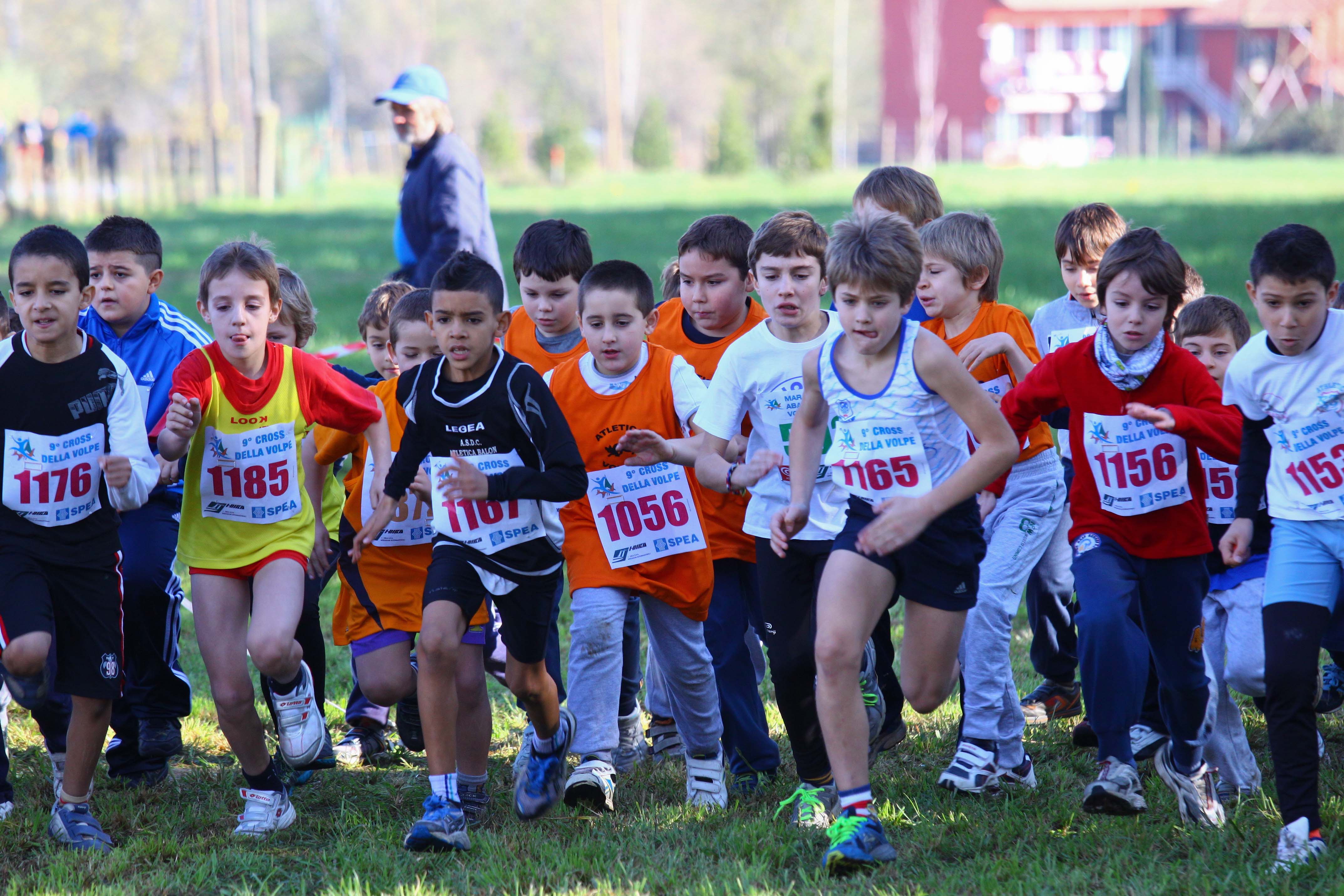 Cross della Volpe 2013