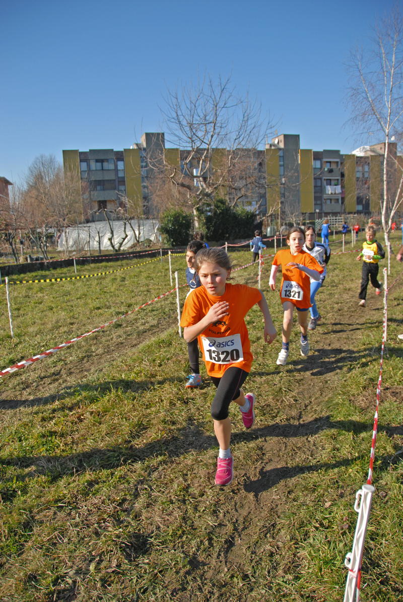 Cross d’Ivrea 2014