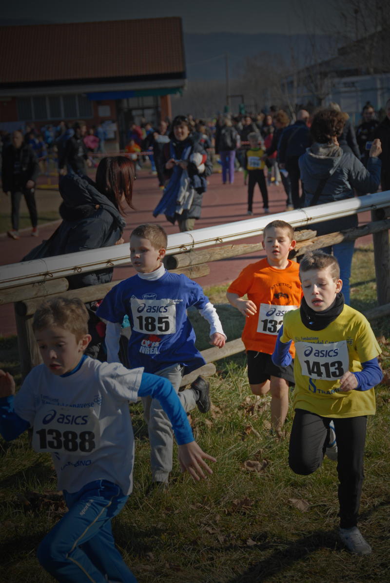 Cross d’Ivrea 2014