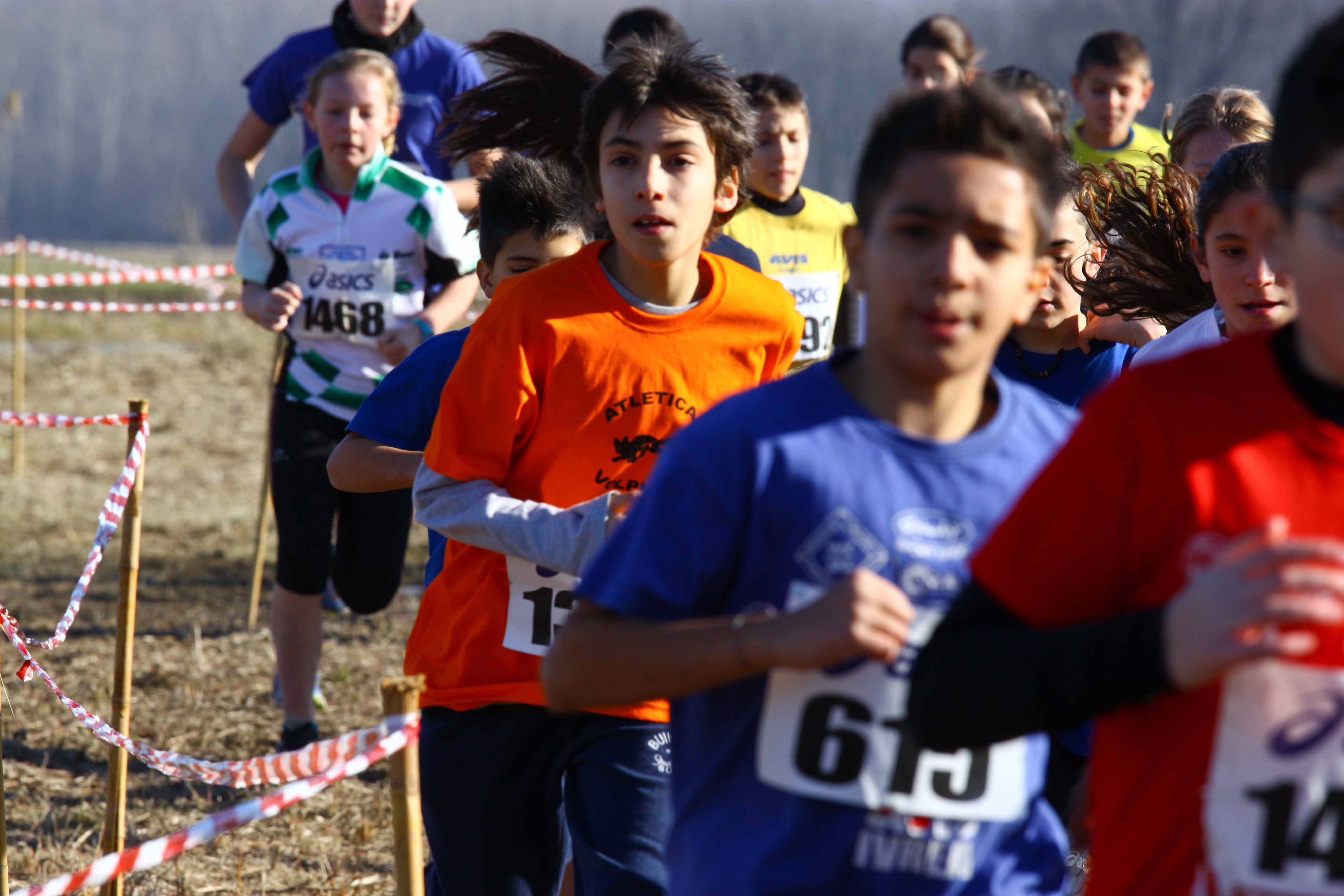 Cross d’Ivrea 2014