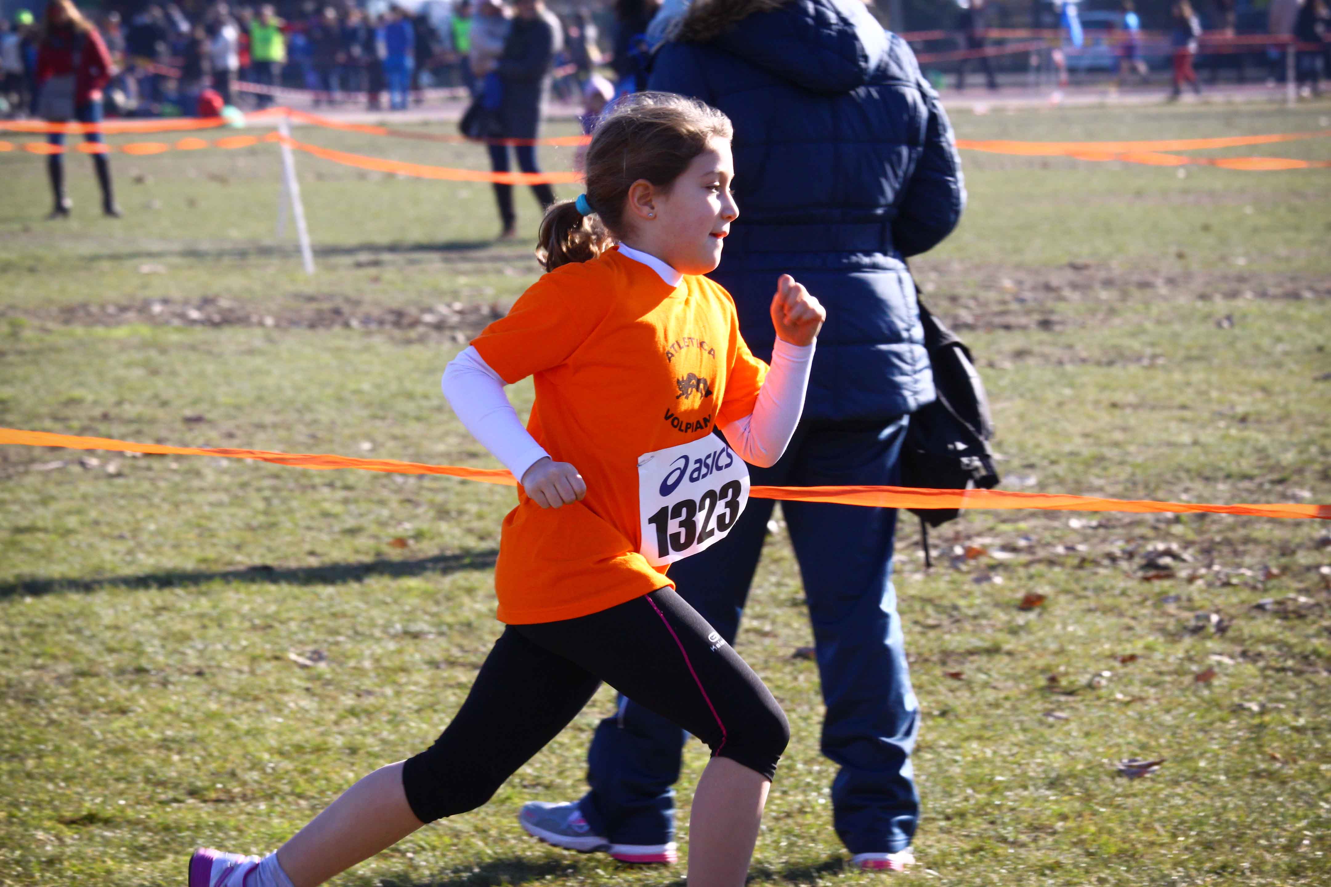 Cross d’Ivrea 2014