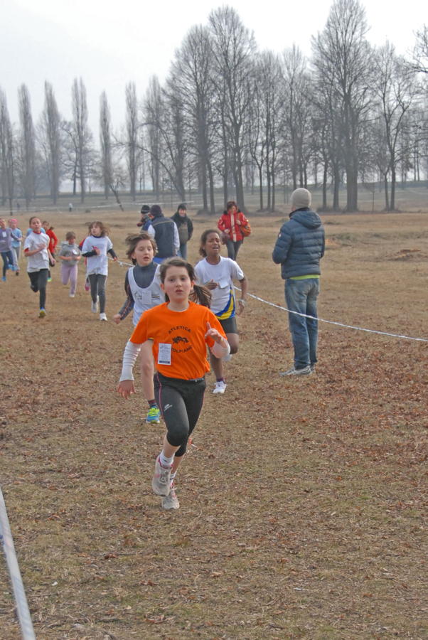 Cross di Borgaretto 2014