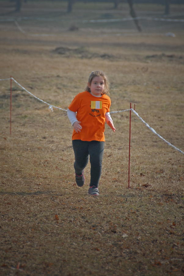Cross di Borgaretto 2014