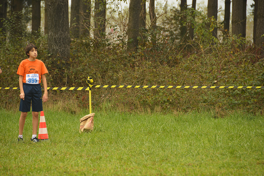 Cross della Volpe 2014