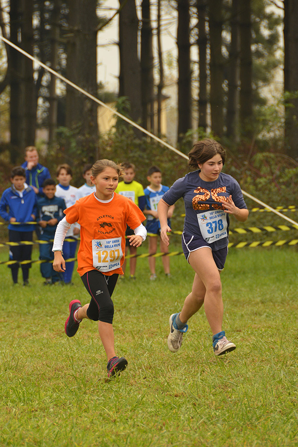 Cross della Volpe 2014