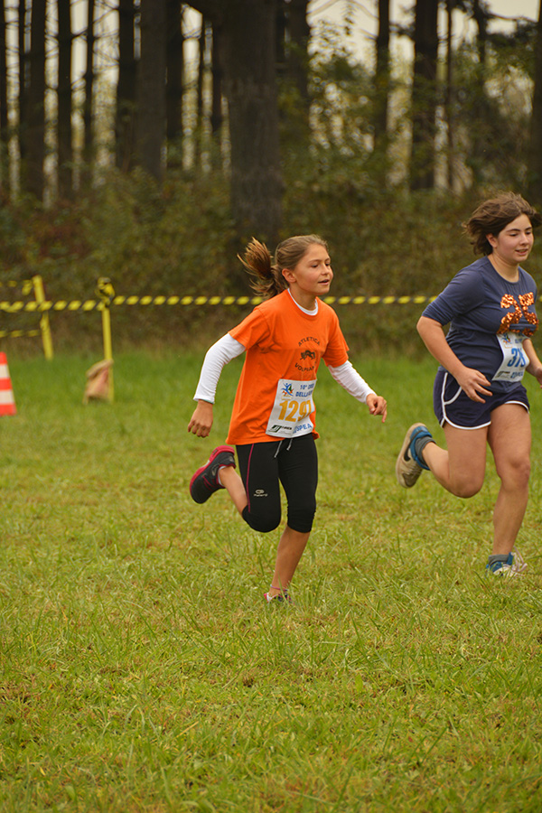Cross della Volpe 2014