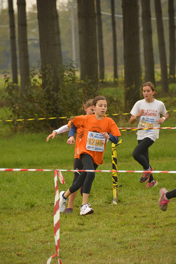 Cross della Volpe 2014