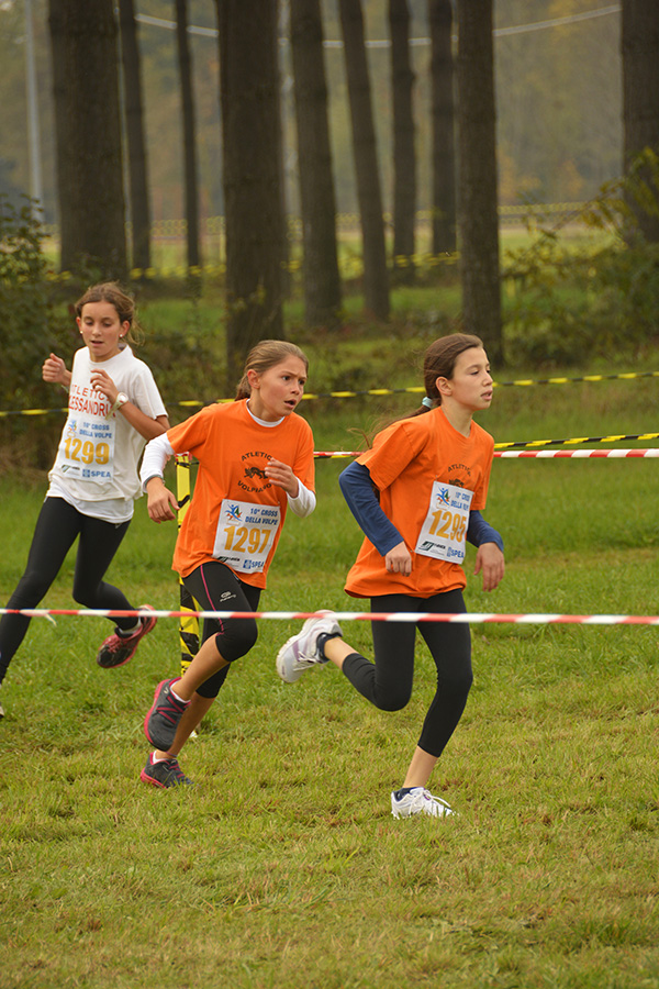 Cross della Volpe 2014