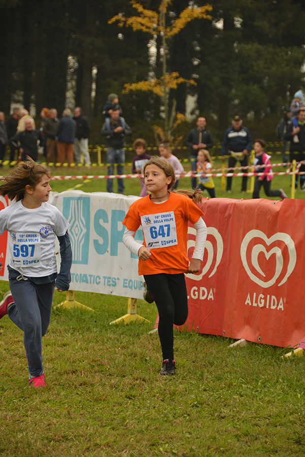 Cross della Volpe 2014