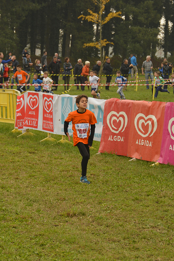 Cross della Volpe 2014