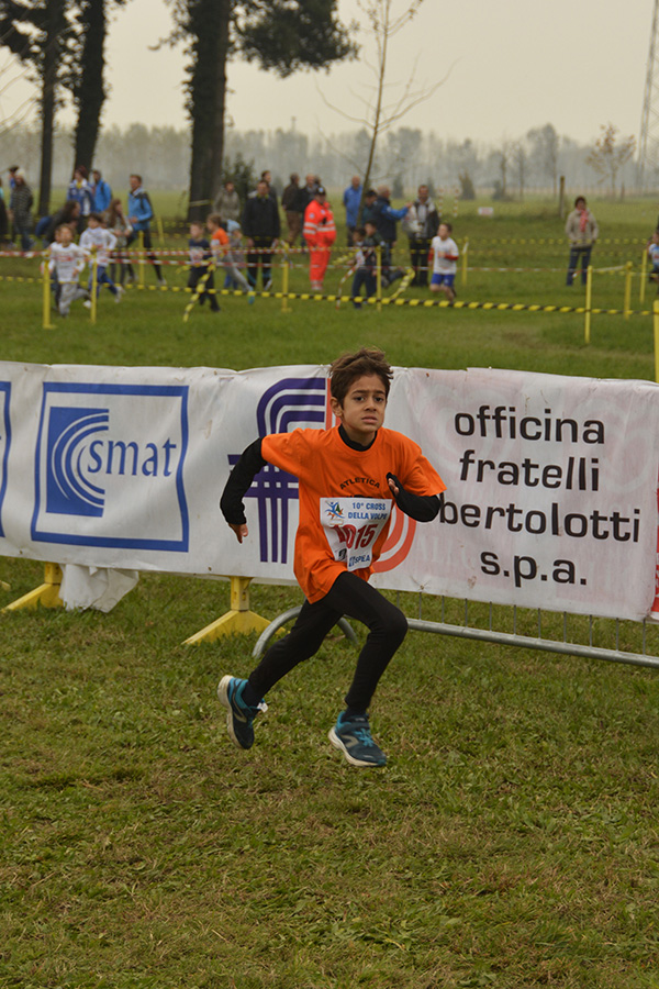 Cross della Volpe 2014