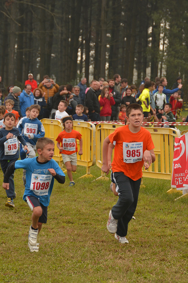 Cross della Volpe 2014