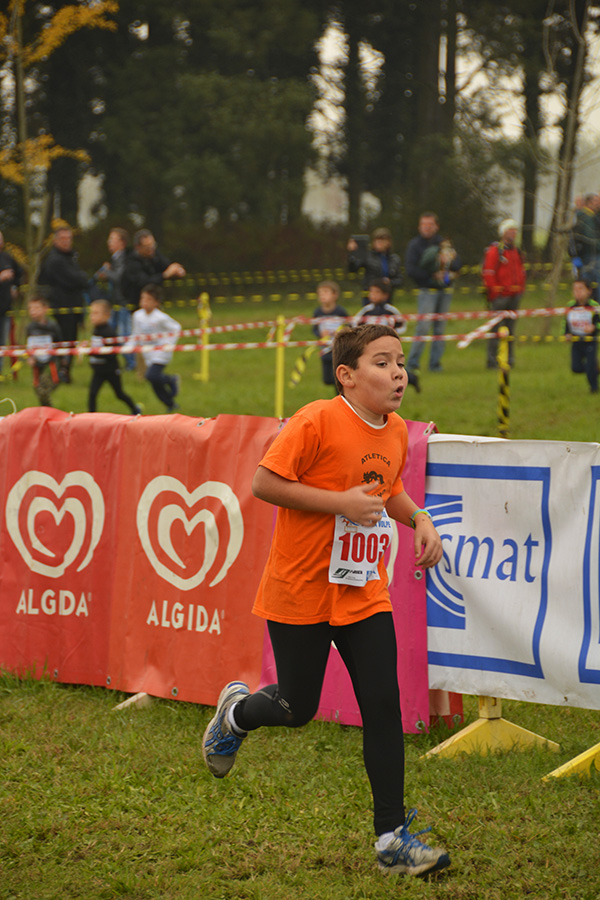 Cross della Volpe 2014