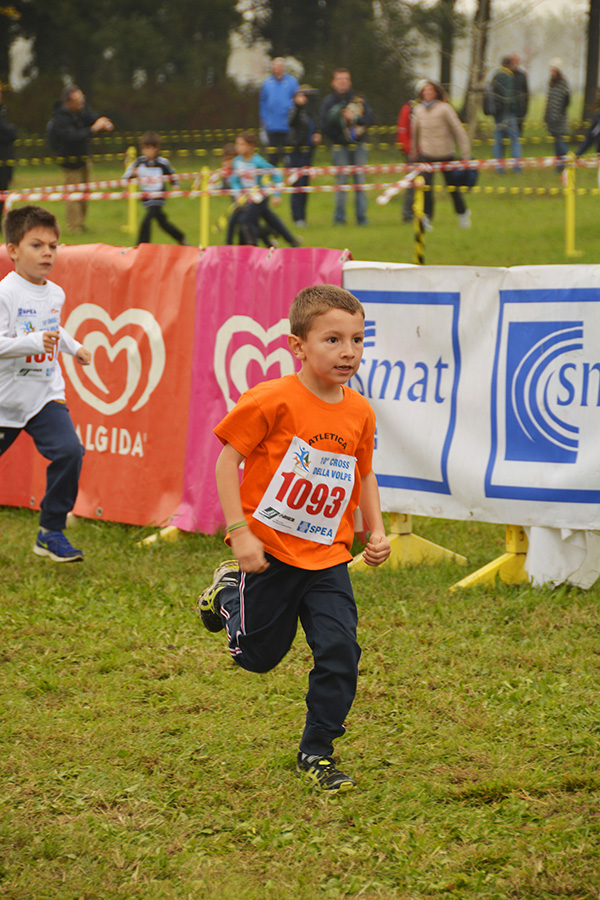 Cross della Volpe 2014