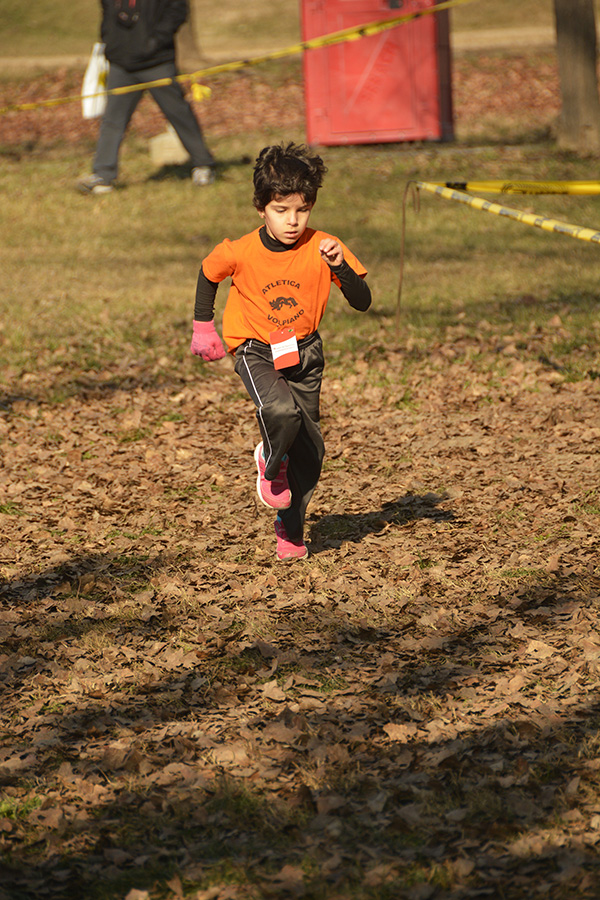 Cross della Pellerina 2016